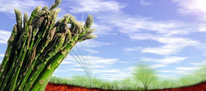 asparagus-1680x1050 asparagus-1680x1050