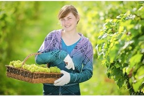 Grape expectations: cookery experience at Three Choirs Vineyard