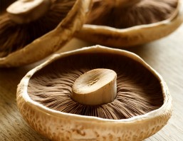 portobello mushrooms